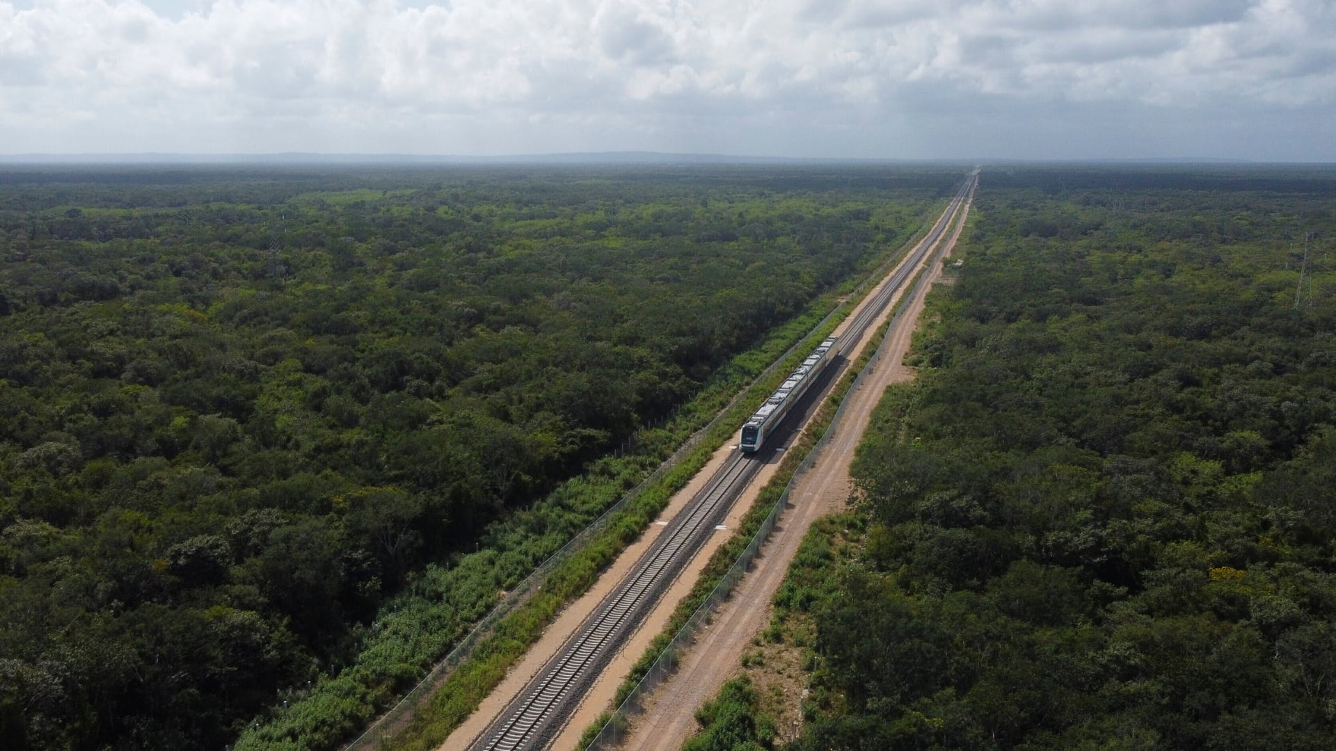 Semarnat dará a conocer el impacto ambiental de los hoteles cercanos al Tren Maya. (AP Foto/Martín Zetina, Archivo).