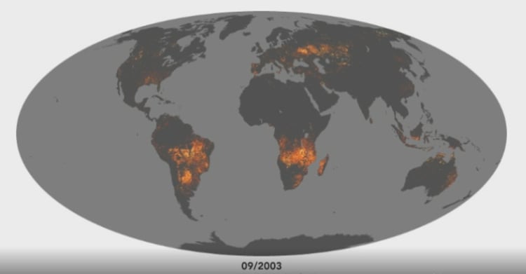 El número de incendios registrados en Brasil han roto la marca en más de siete años (Foto: NASA)