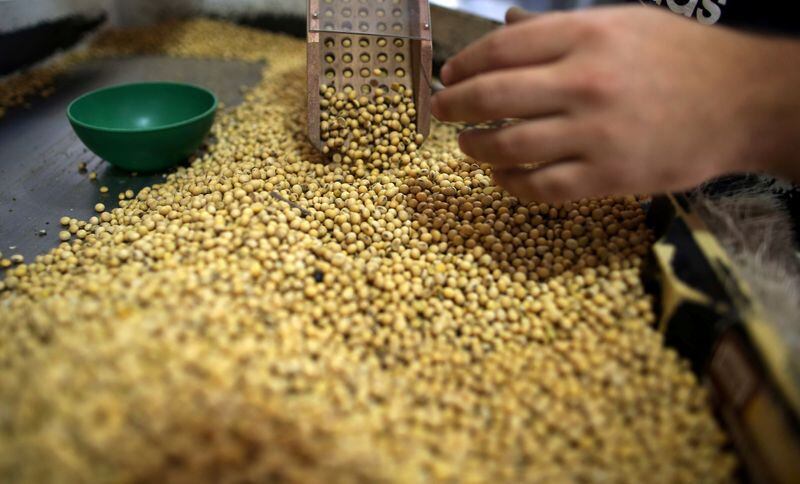 Según la Bolsa de Comercio de Rosario (BCR), hasta ahora se vendieron casi 900.000 toneladas con el dólar soja 3