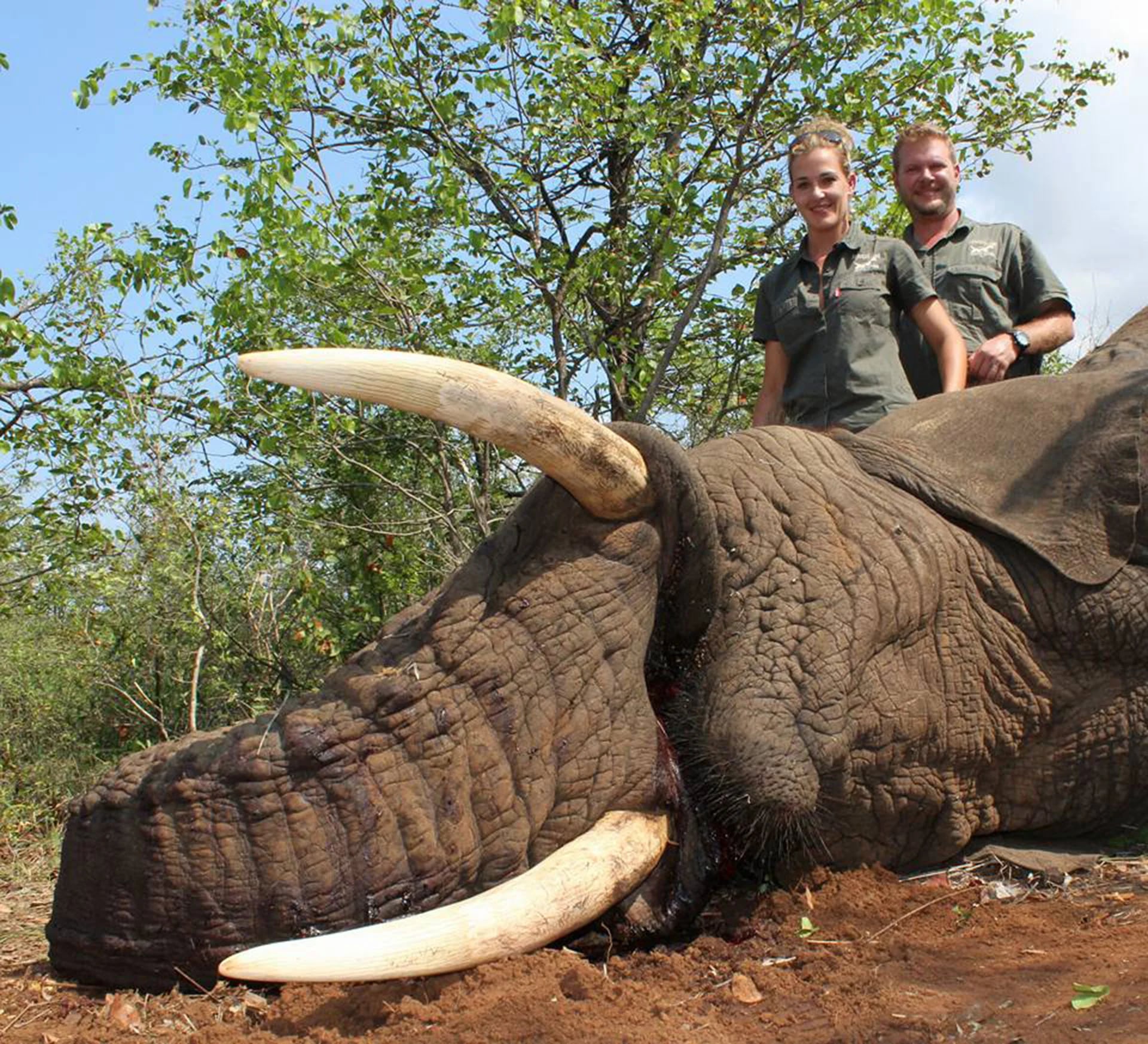 Chris y Anna-Marie van der Westhuizen montaron la compañía African Pride Hunting Safaris. Dicen que al matar animales mantienen un “equilibrio”