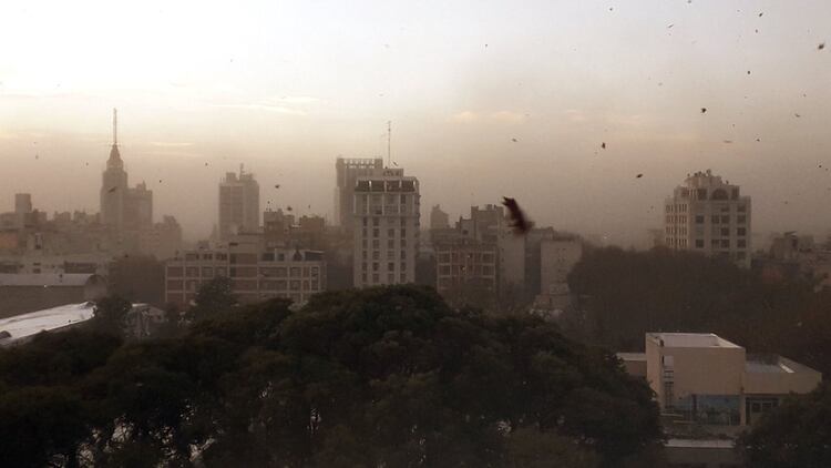 Así amaneció la ciudad de Mendoza por el viento Zonda (Twitter: @climamdz)