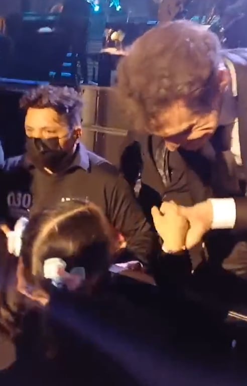 El momento en que Luis Miguel se acercó para interactuar con su fan (Captura de pantalla TikTok/@vale_harkss)