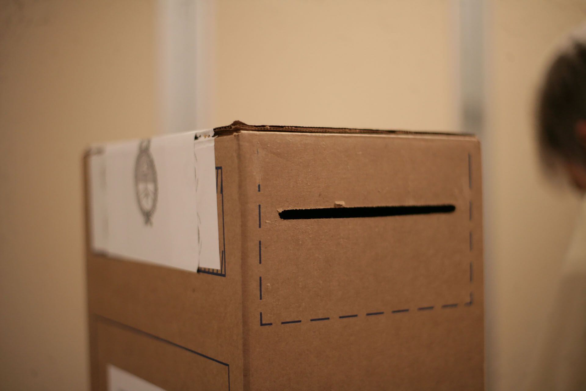 En Argentina hay 35.394.425 personas habilitadas para votar (Luciano González)