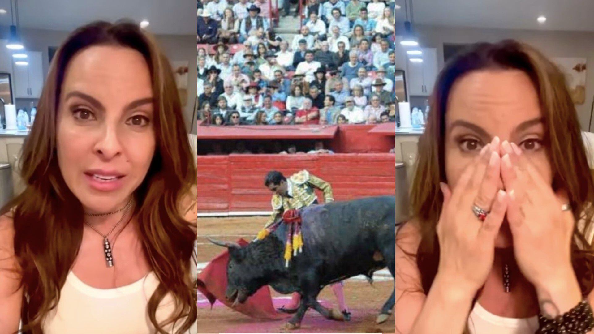 Kate del Castillo corridas de toros