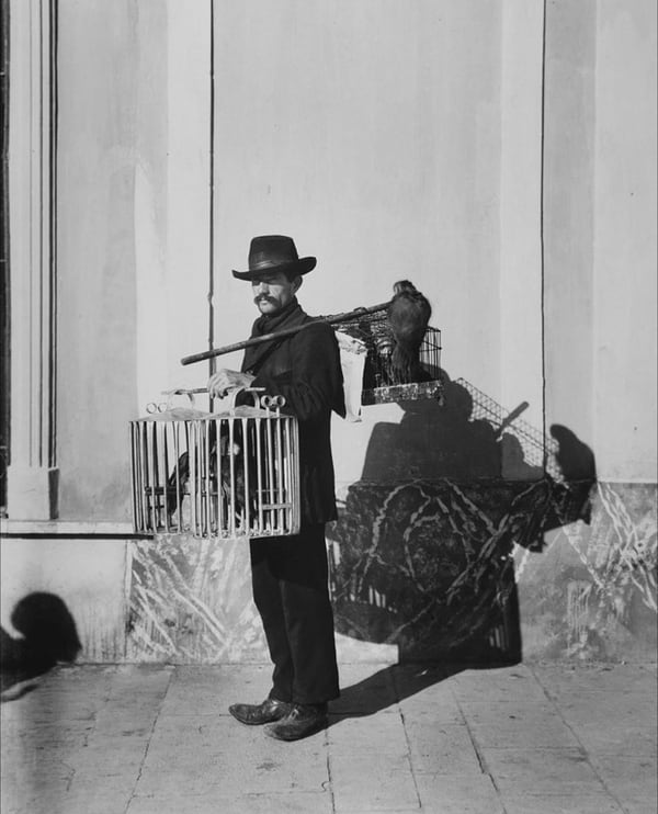 Harry Grant Olds. 481. Vendedor ambulante de loras. Buenos Aires, S.A. (circa 1901)
