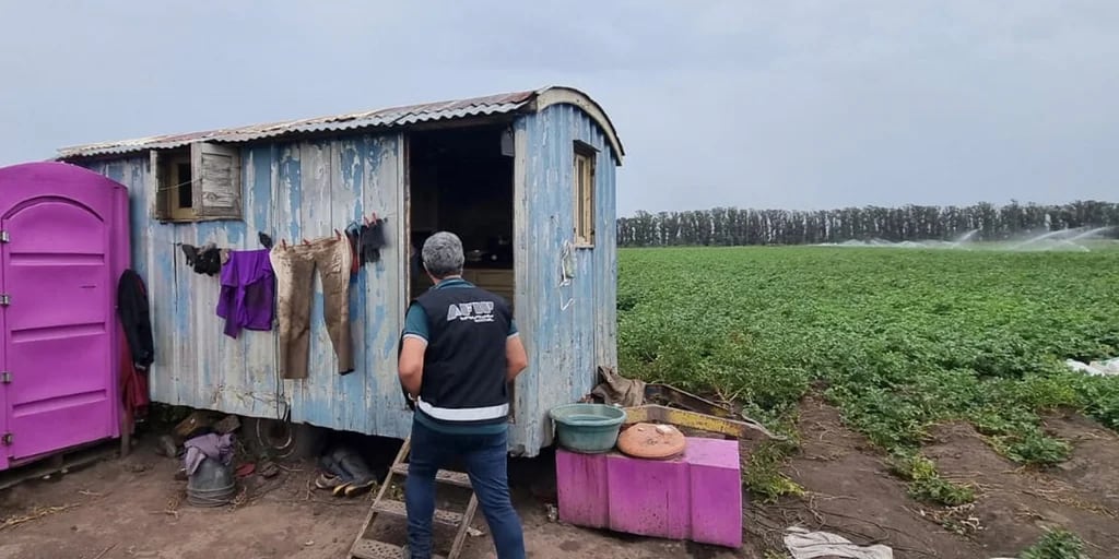 La AFIP detectó casos de explotación laboral en campos de la provincia de buenos  Aires - Infobae