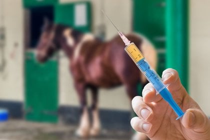 El medicamento ivermectina, que se emplea usualmente como antiparasitario veterinario, se ha recetado ampliamente durante la pandemia (Shutterstock)