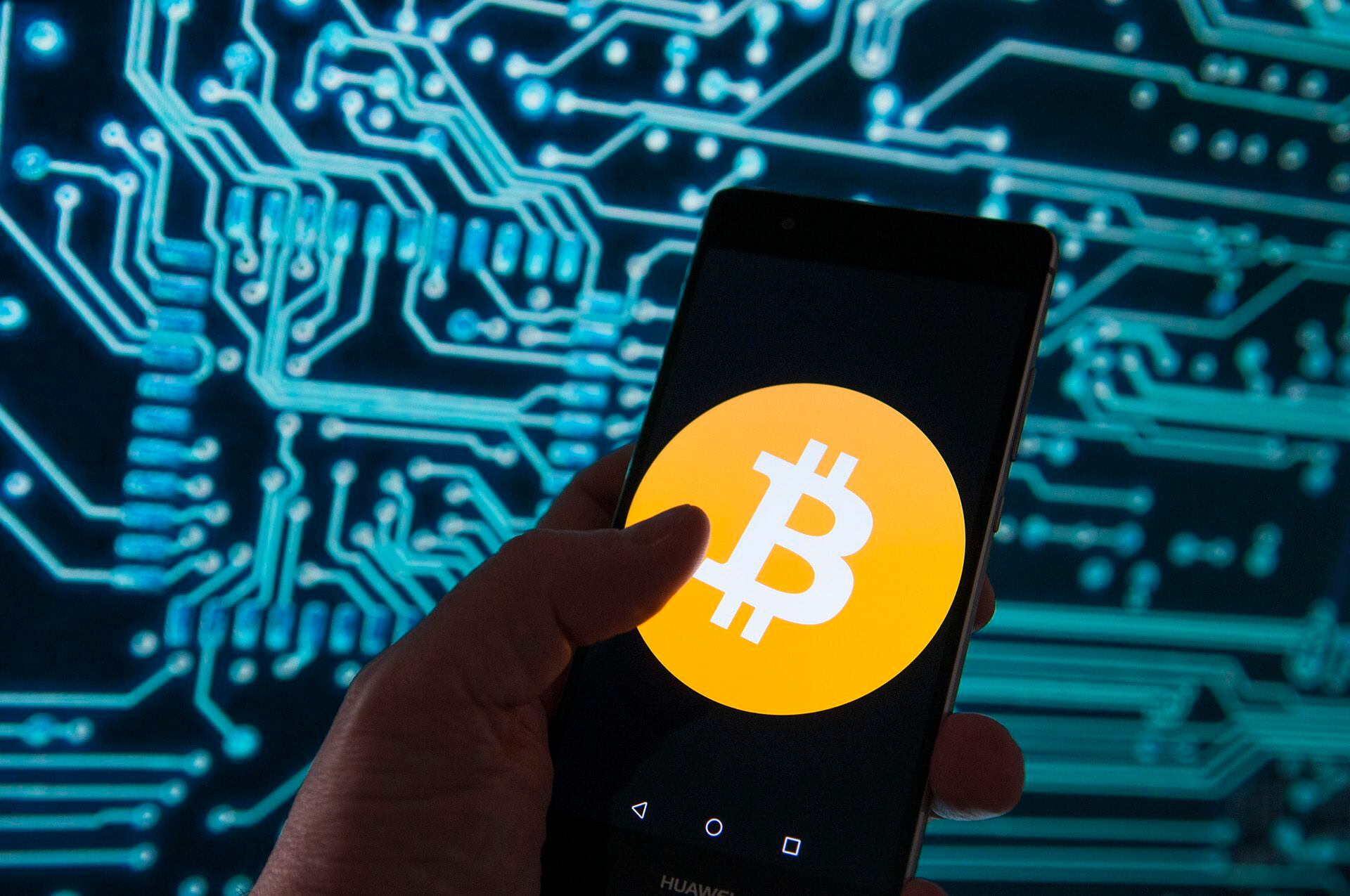 Billeteras para comprar Bitcoin: cuáles son las aplicaciones más  recomendables - Infobae