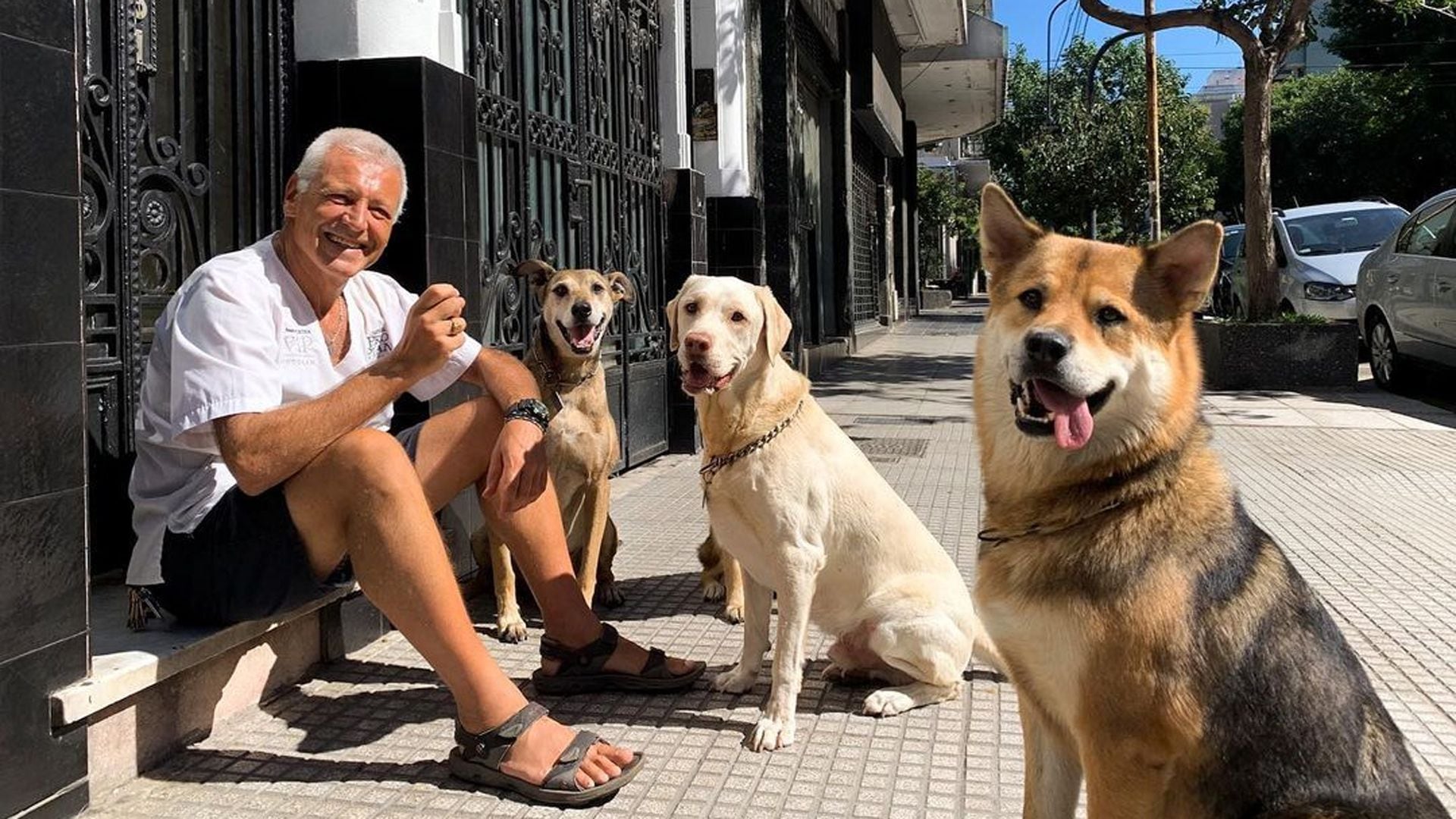 Hace 38 años abrió su propio centro de asistencia veterinaria en el barrio de Flores (Fotos: Instagram @ecoanimalvet)