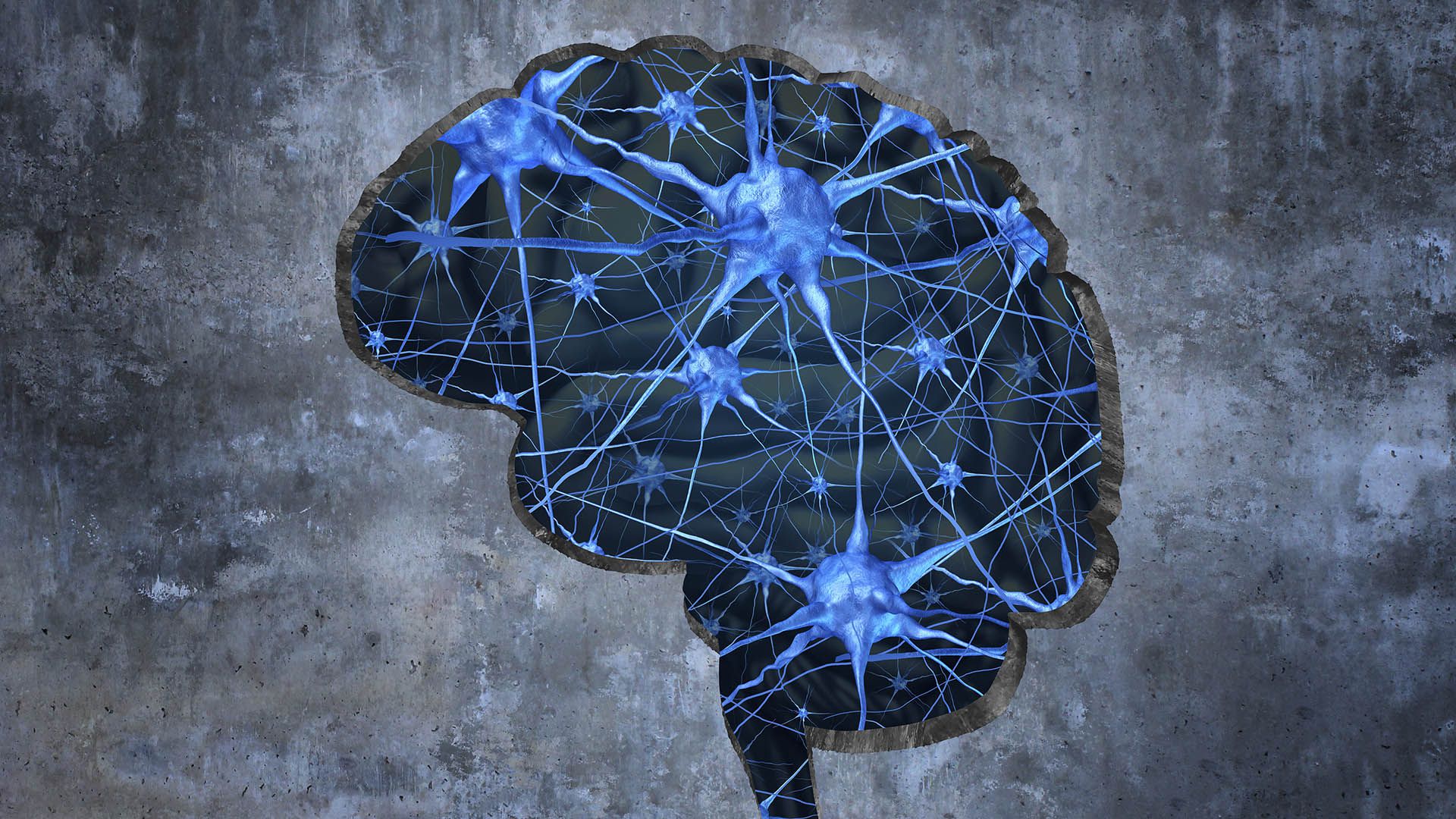 "Como la barrera hematoencefálica evita que muchas drogas influyan en el cerebro, tal vez podríamos manipularla y dejar que transmita las señales al resto del cerebro", dijeron los investigadores (Getty)