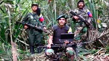 Las FARC se ha pronunciado a través de videos y sonidos