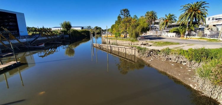 Una ONG busca determinar de dónde provenía la contaminación