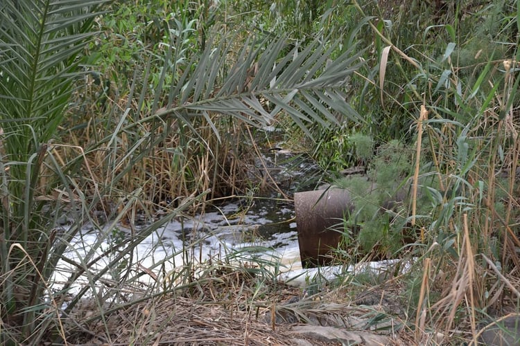 Una tubería que descarga aguas servidas en el Jordan