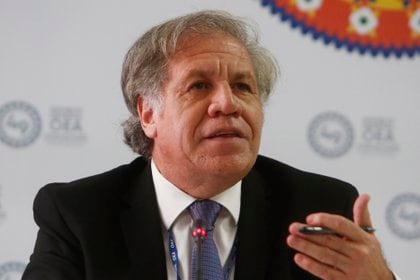 El secretario general de la OEA, Luis Almagro. EFE/Luis Eduardo Noriega A./Archivo