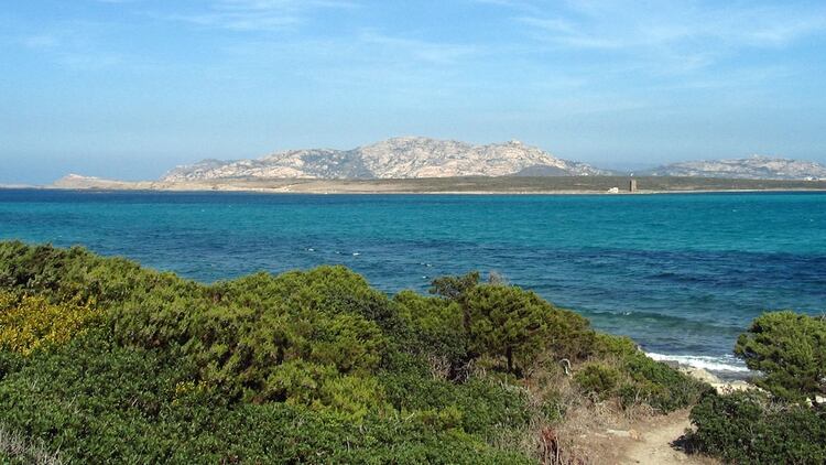 <p>Asinara, Cerdeña</p><p></p> 163