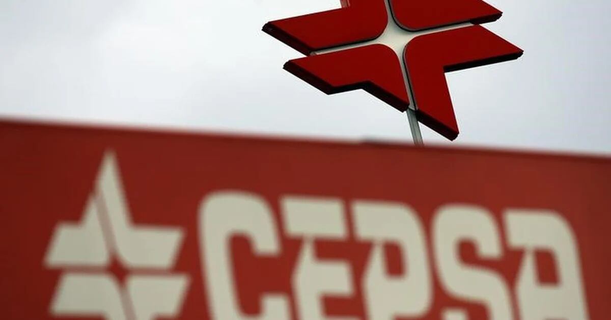 Cepsa partners with Dutch companies to supply green ammonia – sources