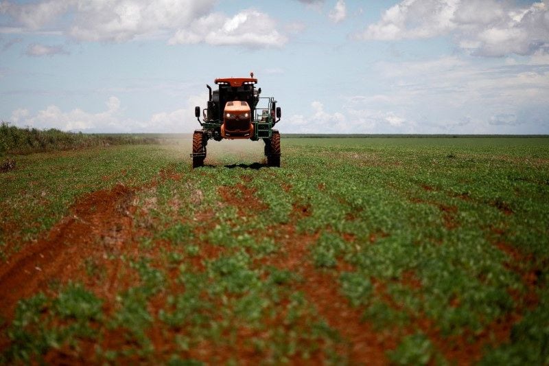 Fertilización de un campo de soja en Brasil, jugador clave del mercado mundial
REUTERS/Adriano Machado/Archivo