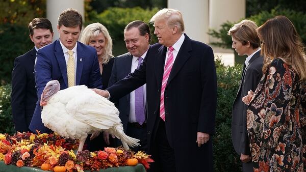 El presidente Donald Trump perdonó la vida al pavo de Acción de Gracias (Getty)