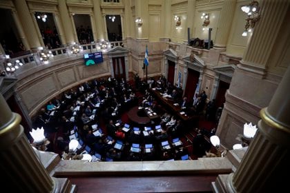 La semana que viene lo tratará el Senado
