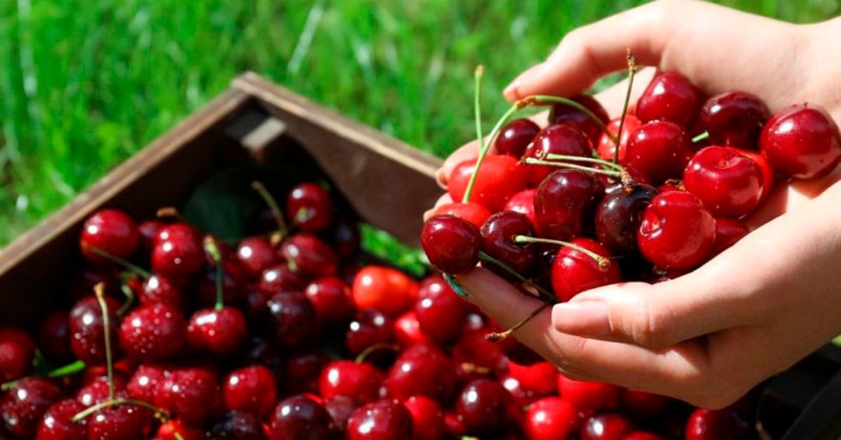 A Health expert denied China for the alleged discovery of COVID-19 in a shipment of Chilean cherries