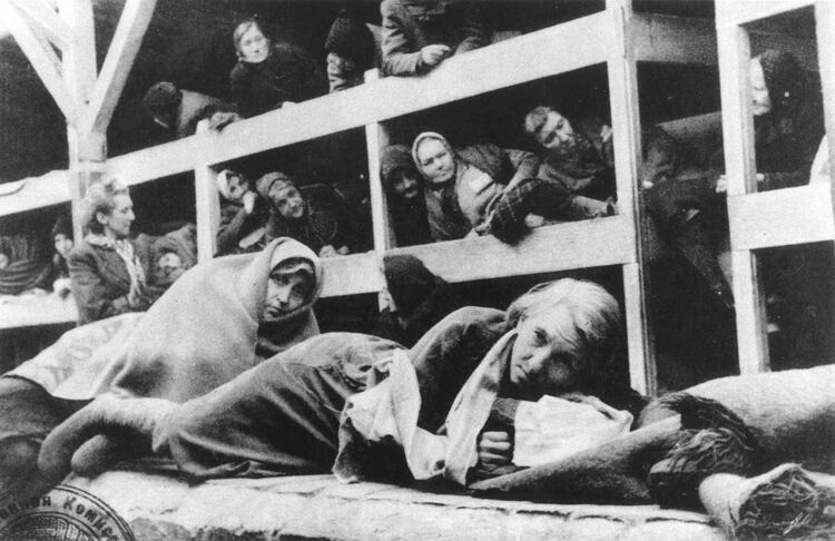 Mujeres prisioneras en los campos de concentración. (Ron Cardy / Shutterstock) 