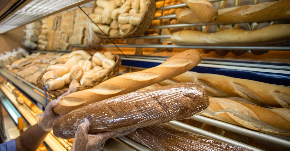 The only announcement from the president: How the bread price stabilization fund will work