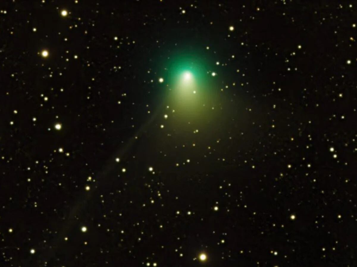 Un cometa verde se acerca a la Tierra por primera vez en 50.000 años: cómo  y cuándo podrá ser visto - Infobae