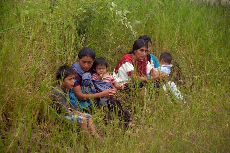 Sinclair espera que el gobierno mexicano involucre más a las comunidades indígenas (Foto: EFE)