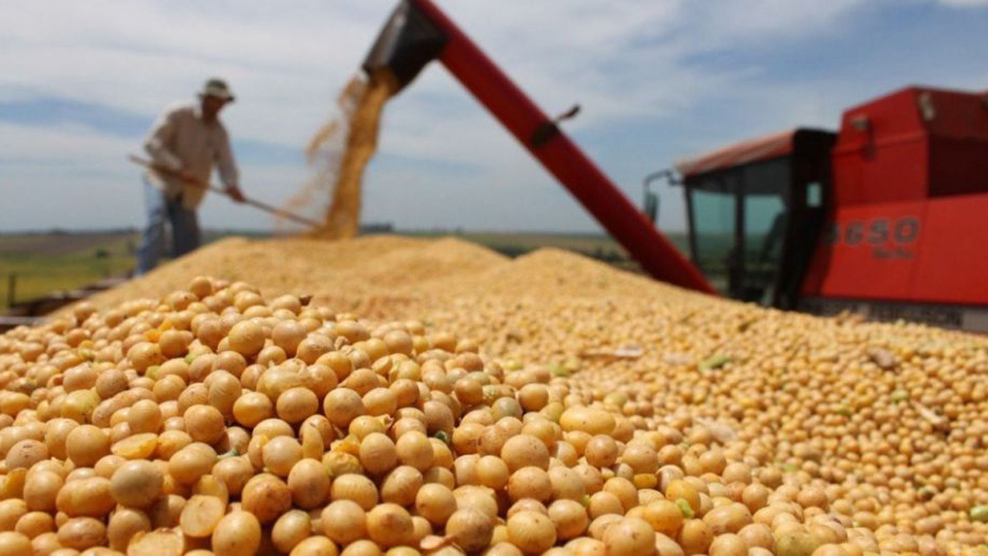 La producción del ciclo 2018-2019 superó las 140 millones de toneladas de granos.