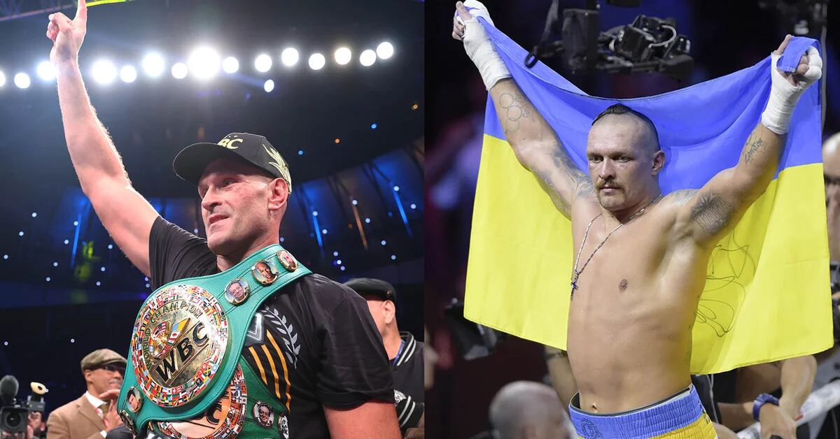 Tyson Fury vs. Oleksandr Usyk heavyweight title unification fight confirmed