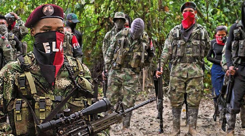 La guerrilla ELN y FARC ejecutan actos de adiestramiento, extorsión, secuestro y narcotráfico en Venezuela
