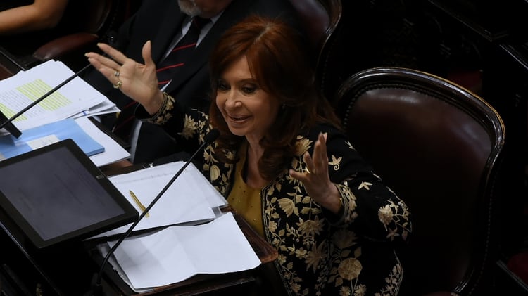 Cristina Kirchner presidirá el Senado (Nicolás Stulberg)