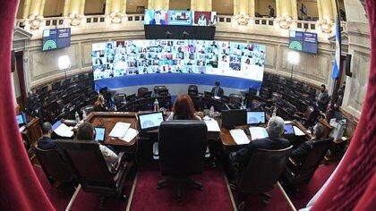 Cristina Fernández en el recinto de la Cámara de Senadores