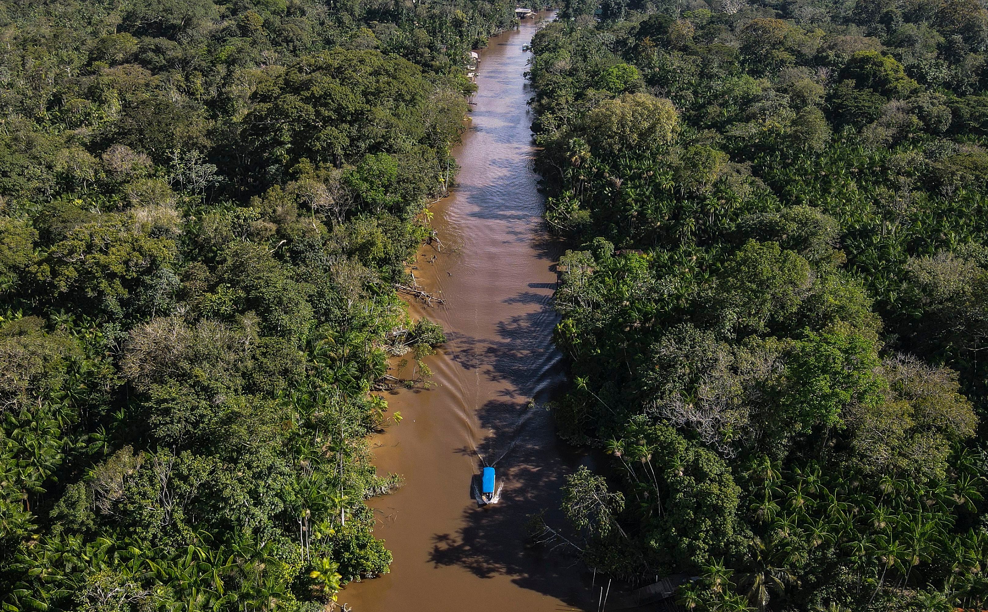 La deforestación del Amazonas frenó las negociaciones con la Unión Europea en los últimos años. EFE

