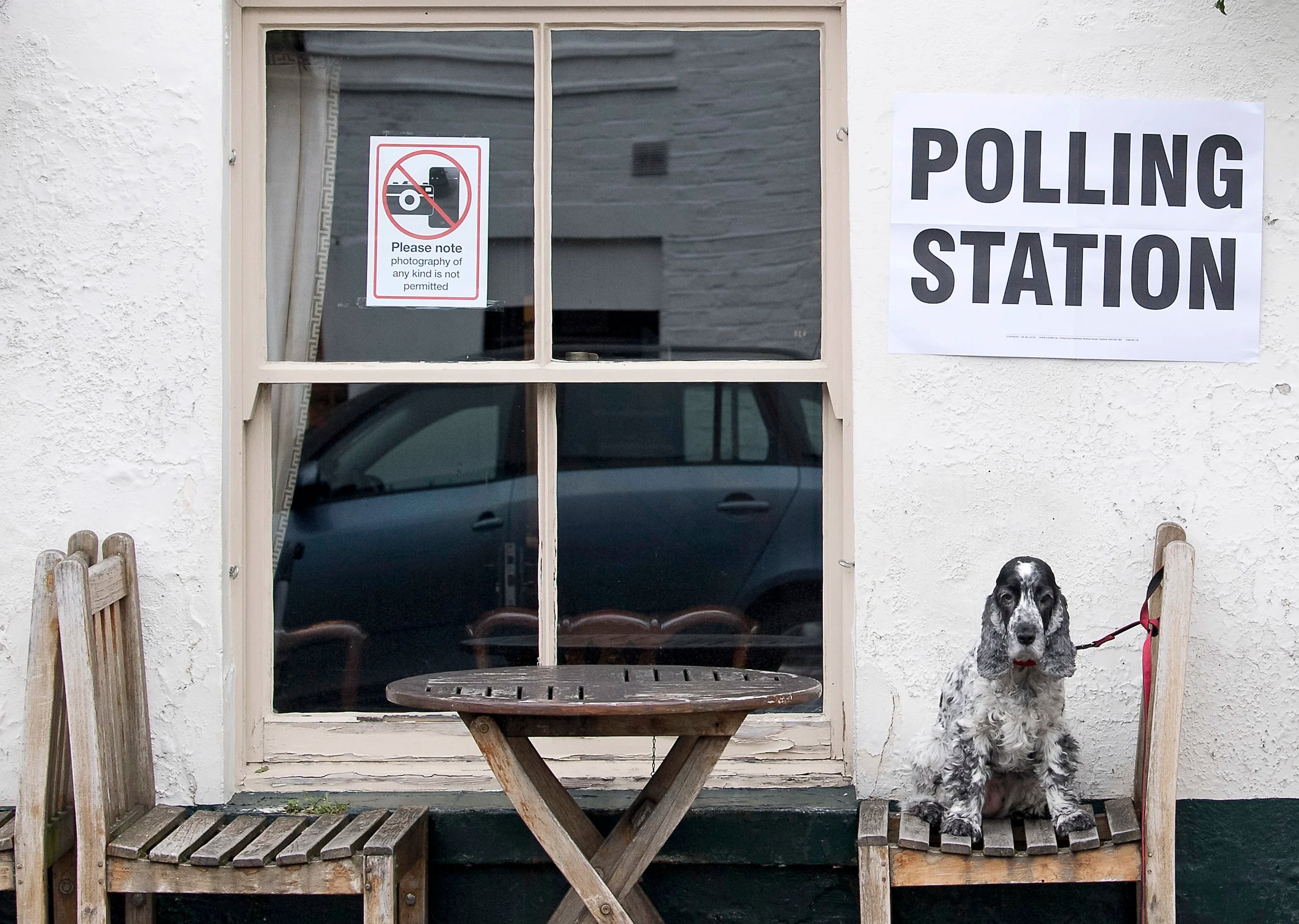 Un perro espera a su dueño frente a un centro de votación en Reino Unido