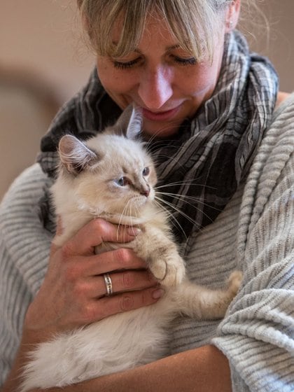 El hecho de acariciar y entretenerse con un animal es beneficioso para la salud (Christin Klose/dpa)