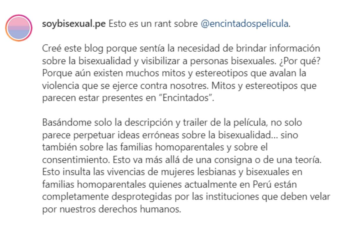 Recensione del blog «Sono bisessuale e cosa». (Foto: cattura Instagram)