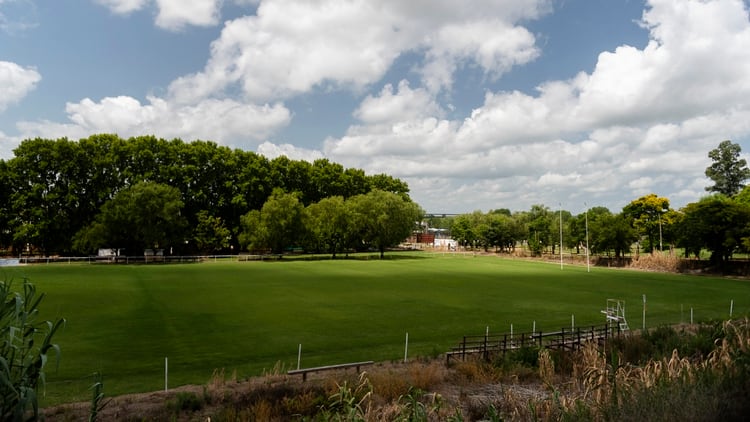 Campo duro: la cancha de rugby del Arsenal Náutico, el club de los acusados (Adrián Escandar)