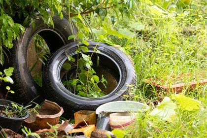 Se debe mantener los patios limpios y ordenados y los jardines desmalezados (Shutterstock)