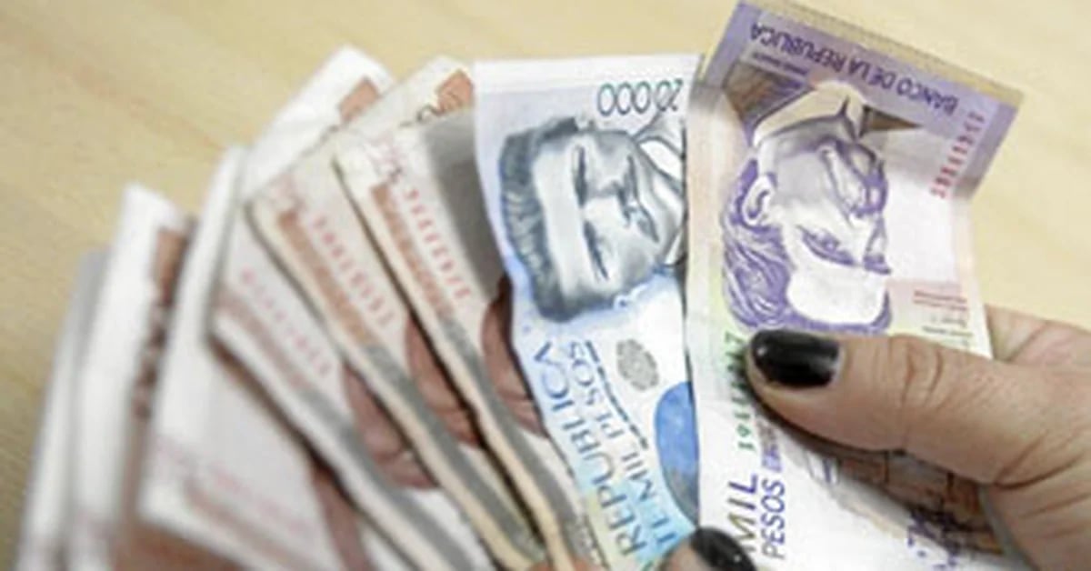 Asopankaria afferma che la Colombia continua a fornire “buoni salari”.