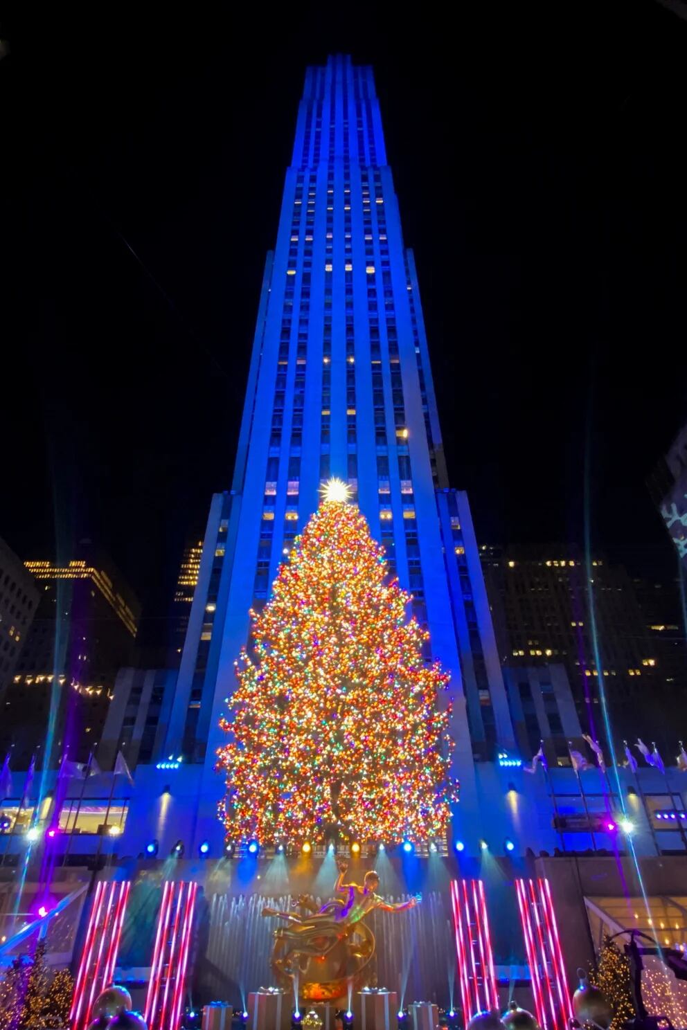 Cuánto dinero vale el árbol de Navidad de Rockefeller y qué tipo de árbol  es - AS USA
