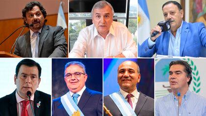 Los gobernadores Gustavo Saenz, Gerardo Morales, Ricardo Quintela, Gerardo Zamora, Raúl Jalil, Juan Manzur y Jorge Capitanich 