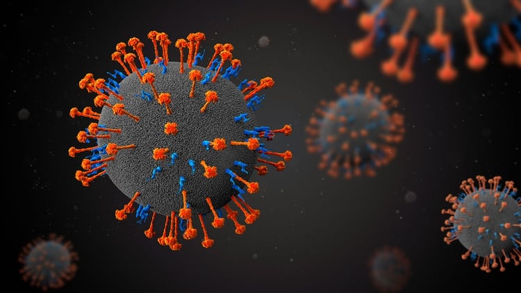 Este virus se ha visto también en murciélagos en países como Myammar, Ghana, Filipinas, Indonesia, Madagascar, Australia, India y Tailandia (Shutterstock)