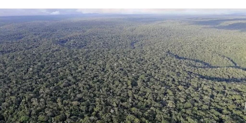 La deforestación amazónica calienta superficies a distancia