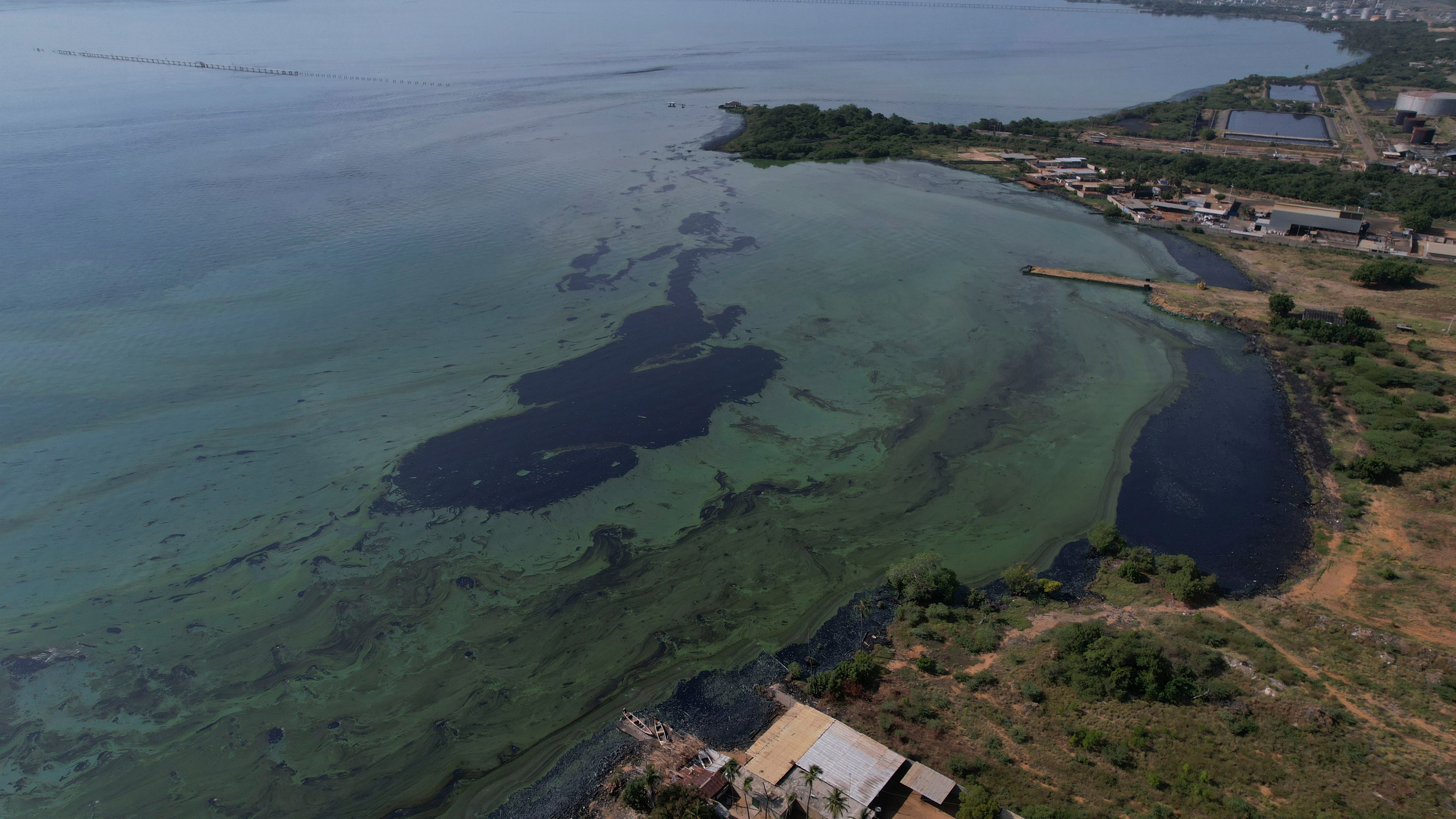 Manchas de petróleo   (AP Foto/Ariana Cubillos)