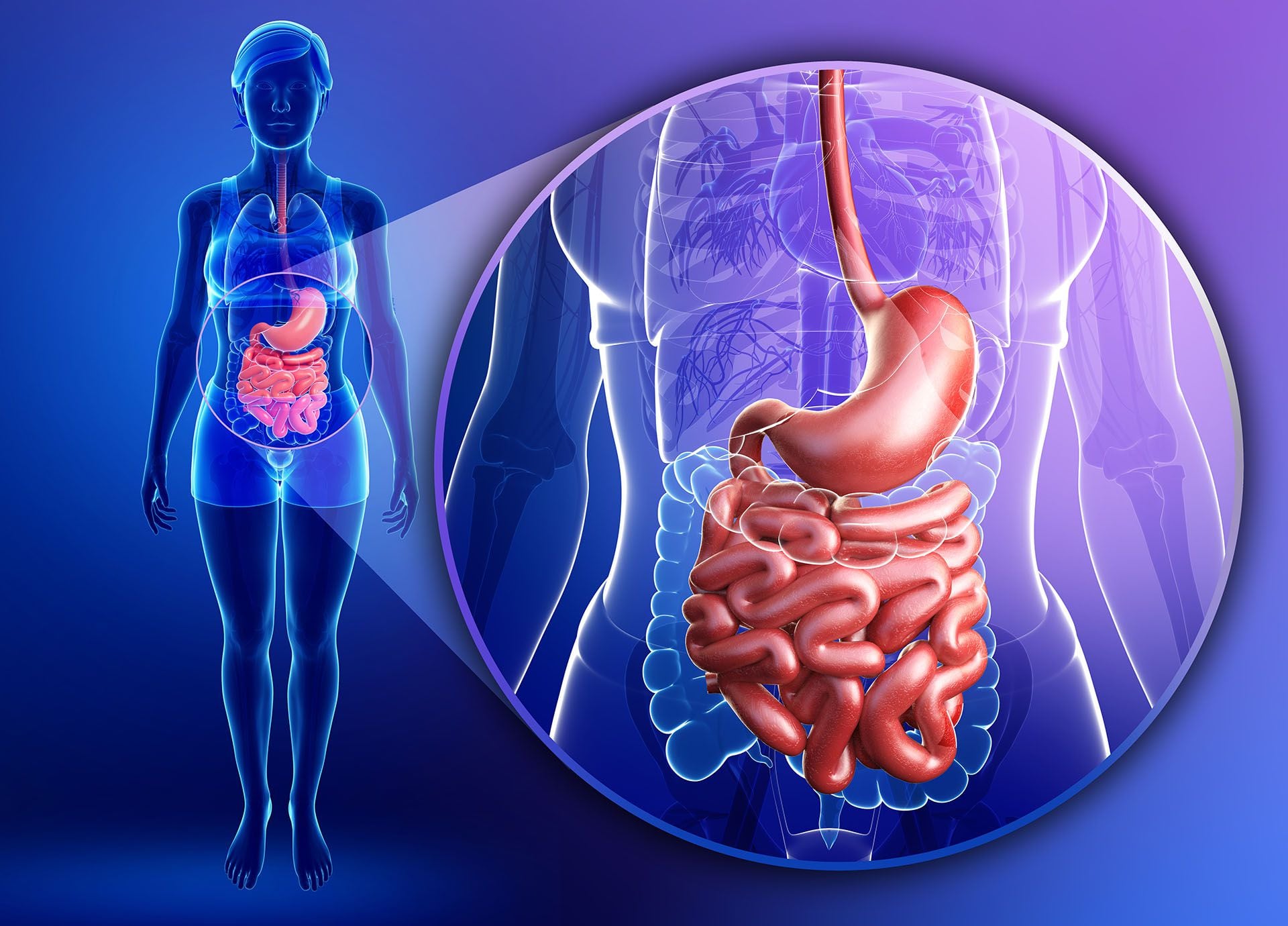 El rol de la microbiota: actúa como una barrera protectora contra los patógenos externos
(Getty)