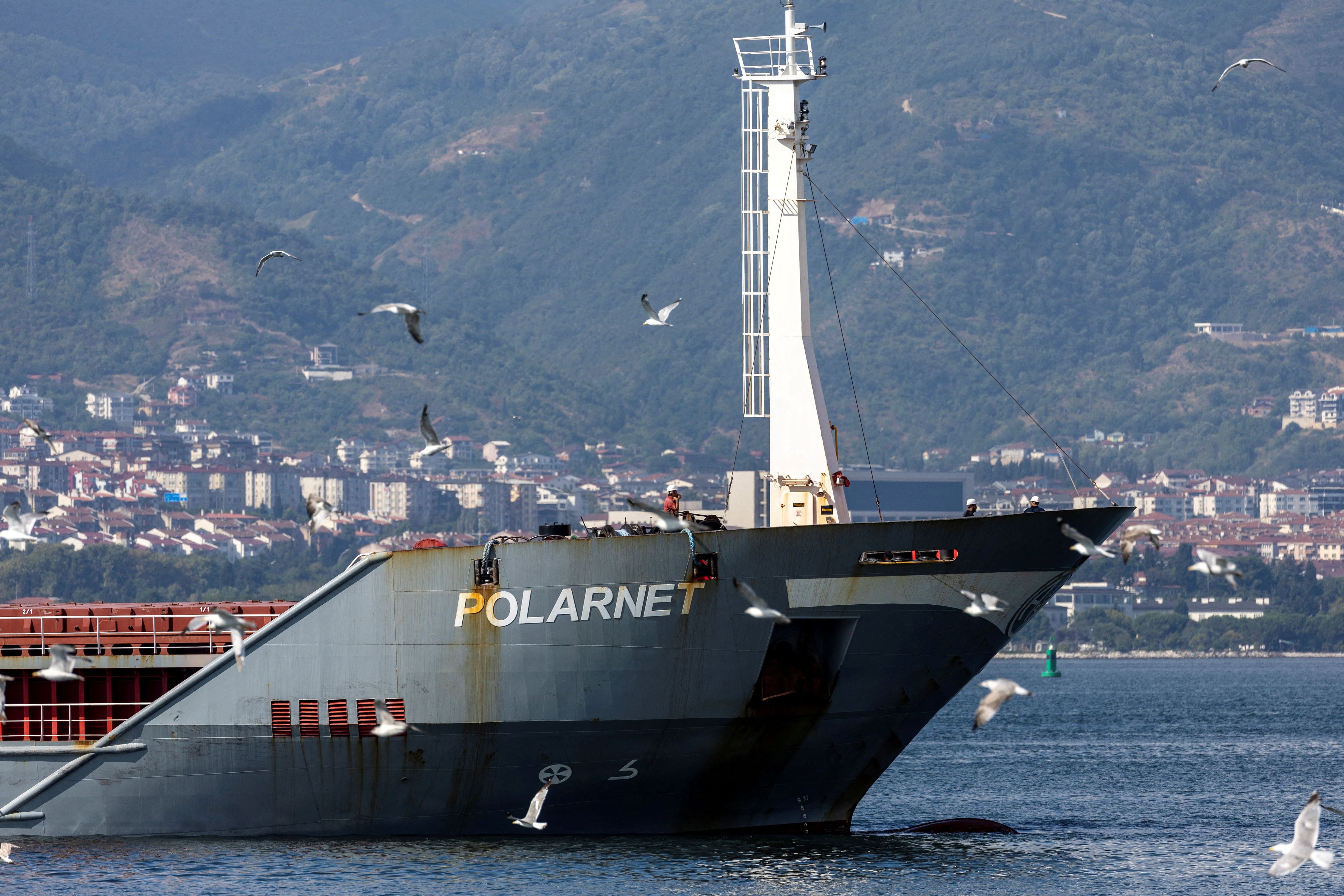 El carguero de bandera turca Polarnet, que transporta grano ucraniano, se acerca a su destino final en el puerto de Derince (REUTERS/Umit Bektas)