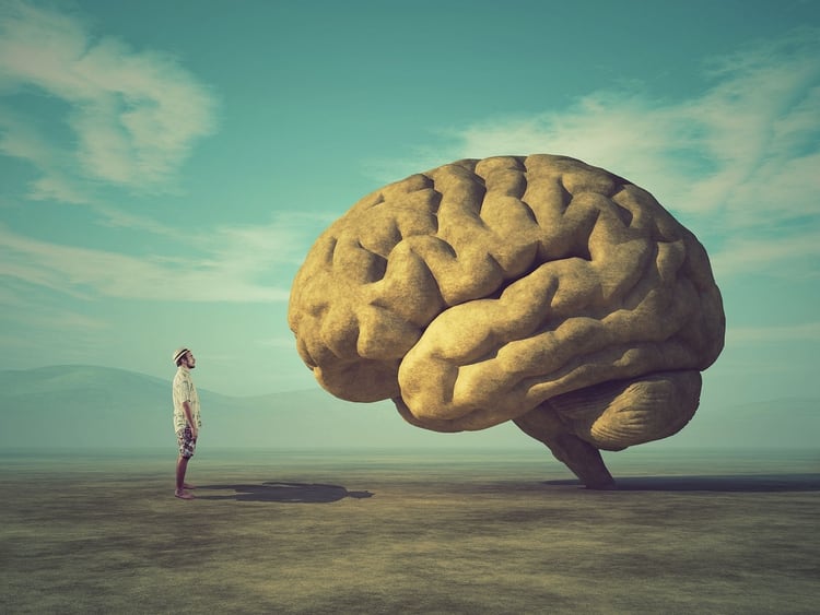 Los investigadores tomaron el 30% de los escáneres cerebrales en su estudio, todos de personas de 45 a 81 años, y los usaron para entrenar una computadora, que escaneó cada cerebro para ver qué edad tenían (Shutterstock)
