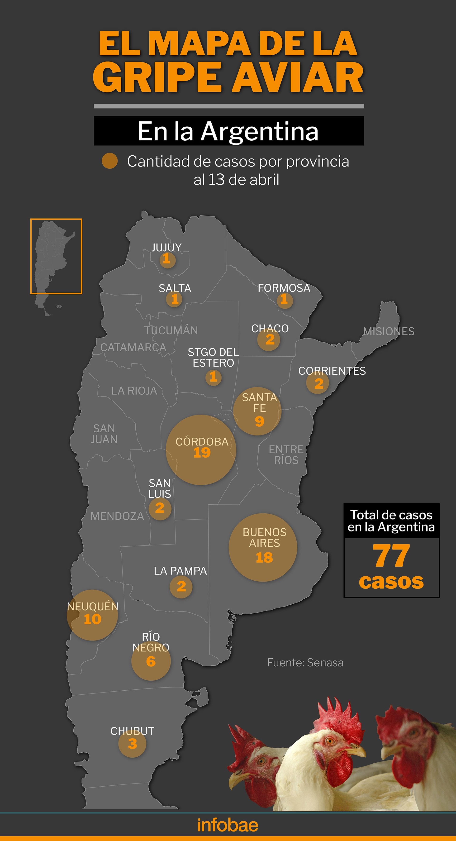 Mapa de la gripe aviar en la Argentina MAPA
