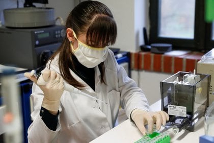 Hungarian biologist Alexandra Torok checks the purity of an antibody, a genetic sensor of sorts, manufactured by a small family company and sold to the largest pharmaceutical companies in the race for a coronavirus vaccine, in Szirak, Hungary, November 13, 2020. Picture taken November 13, 2020. REUTERS/Bernadett Szabo